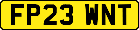 FP23WNT