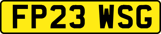 FP23WSG