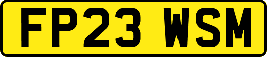 FP23WSM