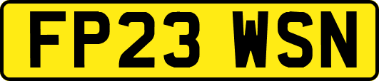 FP23WSN