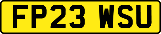FP23WSU