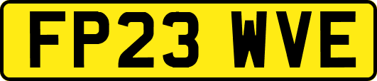 FP23WVE