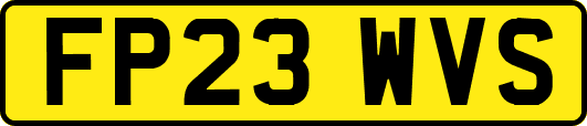 FP23WVS