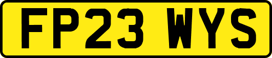 FP23WYS
