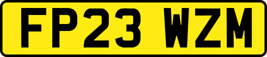 FP23WZM