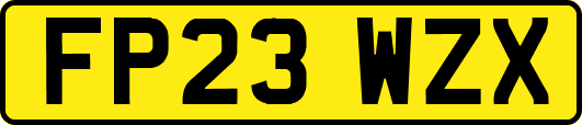 FP23WZX