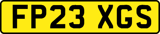 FP23XGS
