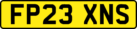 FP23XNS