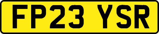 FP23YSR