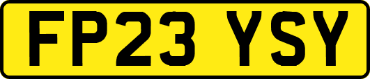 FP23YSY