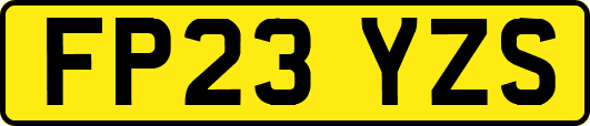 FP23YZS