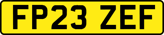 FP23ZEF