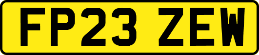FP23ZEW