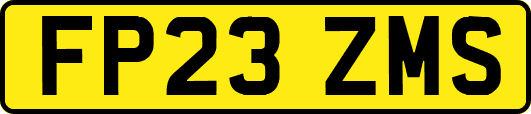 FP23ZMS