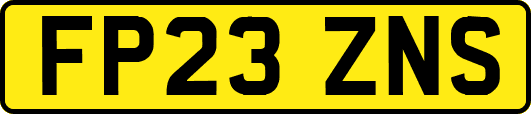 FP23ZNS