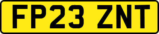 FP23ZNT