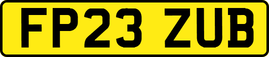 FP23ZUB