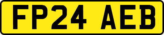 FP24AEB