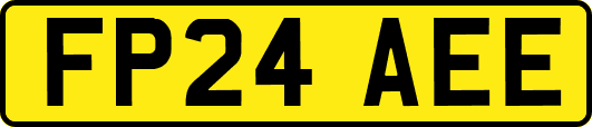 FP24AEE