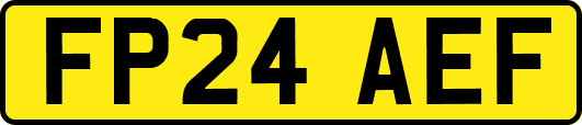 FP24AEF