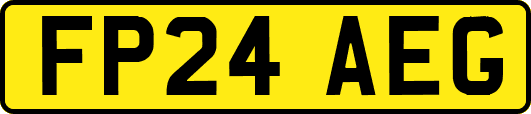 FP24AEG