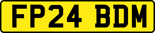 FP24BDM