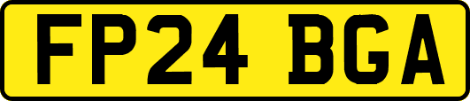 FP24BGA