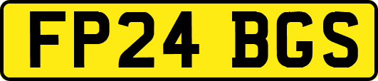 FP24BGS