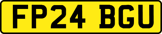 FP24BGU