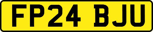 FP24BJU