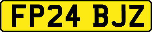 FP24BJZ