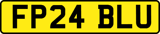 FP24BLU