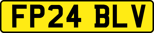 FP24BLV