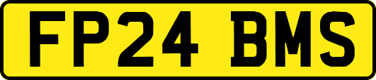 FP24BMS