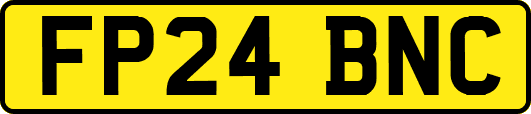FP24BNC