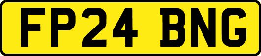 FP24BNG