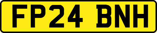 FP24BNH