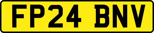 FP24BNV