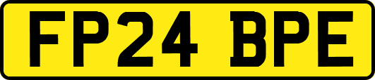 FP24BPE