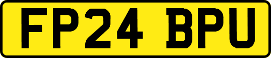 FP24BPU