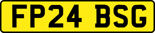 FP24BSG