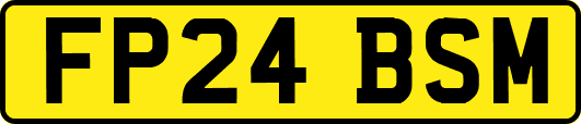 FP24BSM