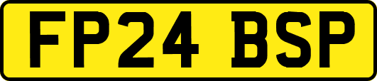 FP24BSP