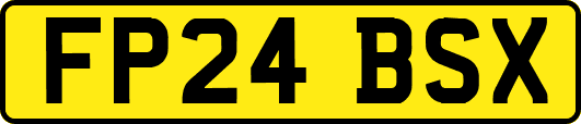 FP24BSX