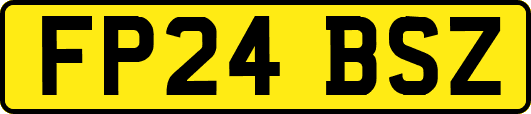 FP24BSZ