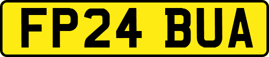 FP24BUA