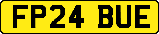 FP24BUE