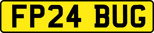 FP24BUG