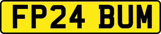 FP24BUM