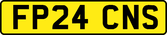FP24CNS